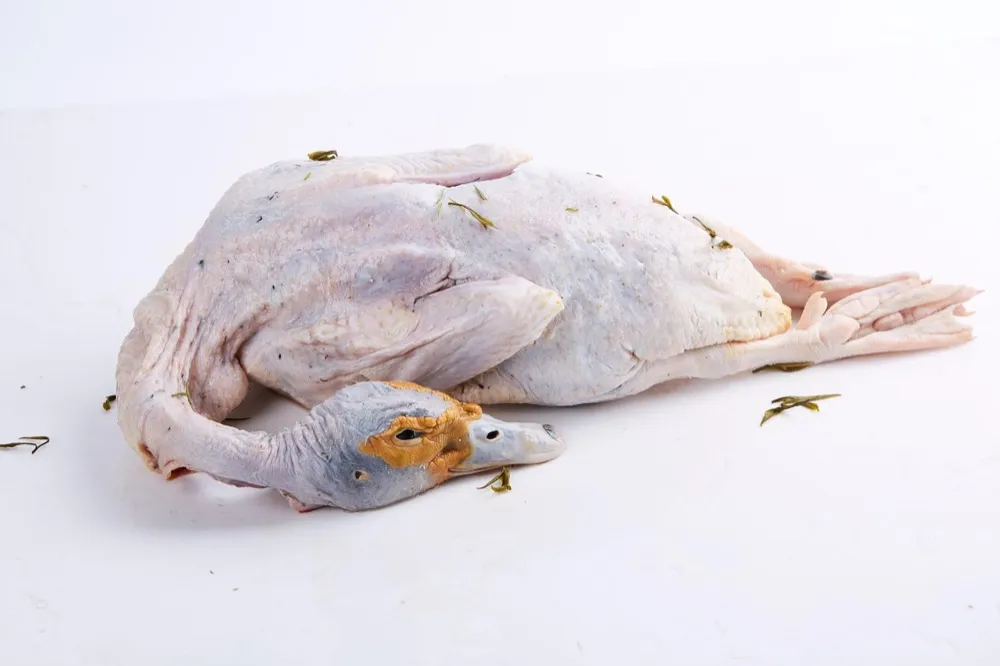 Bebek potong