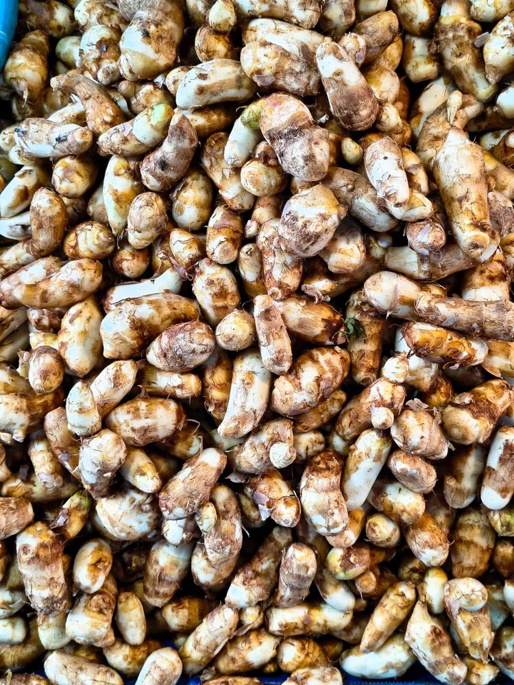 Paket empon-empon segar (500 g)